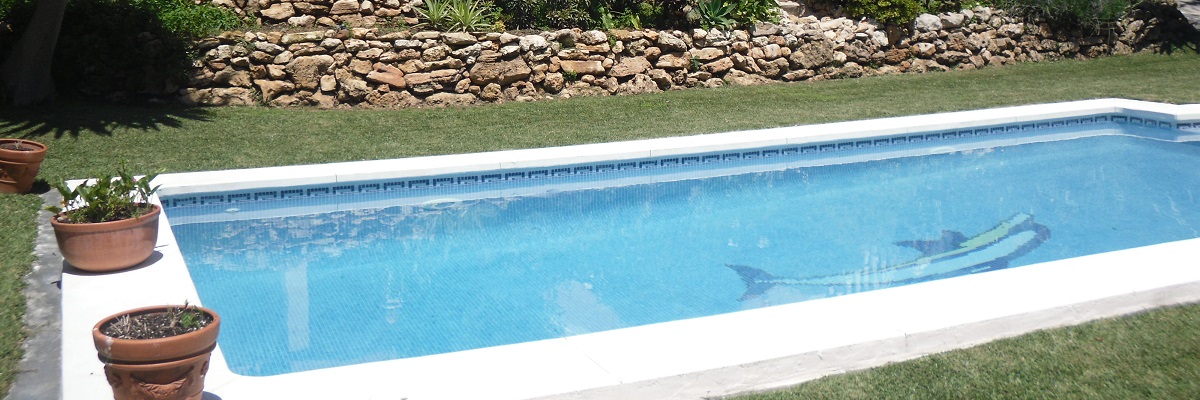 Our Great Pool Villa in Cabopino near Marbella
